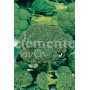Semillas de Brócoli Verde Calabrese