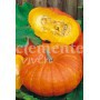 Semillas de Calabaza Forrajera Gigante