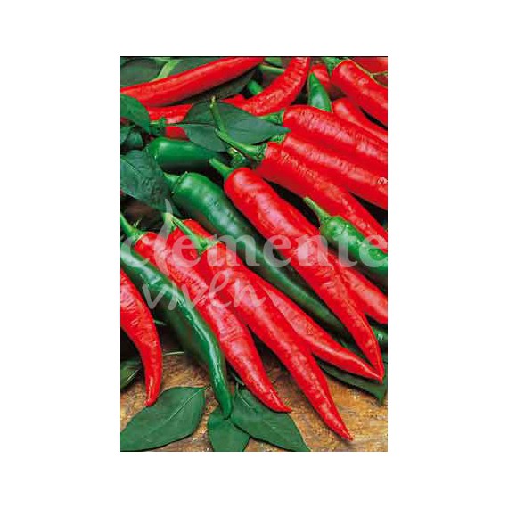 Semillas de Guindilla roja larga de Cayenne