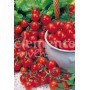 Semillas de Tomate Cereza (Red Cherry)