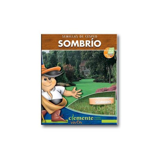 Semillas de Césped Sombrío - Bajo Arboles 1KG