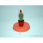 Cactus M-5.5 Flor