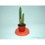 Cactus Ordenador M-5.5