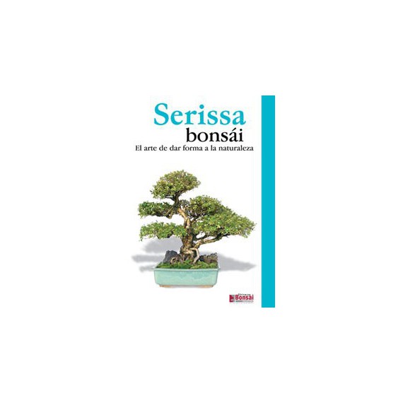 Guía bonsái Serissa