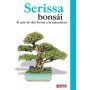 Guía bonsái Serissa