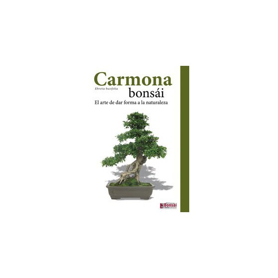 Guía bonsái Carmona