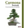 Guía bonsái Carmona