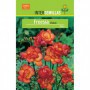 Bulbo Freesia Doble Roja