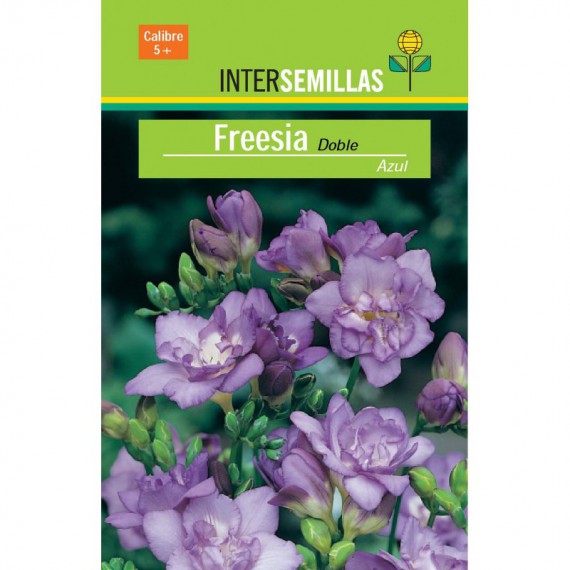 Bulbo Freesia Doble Azul