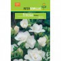 Bulbo Freesia Doble Blanca