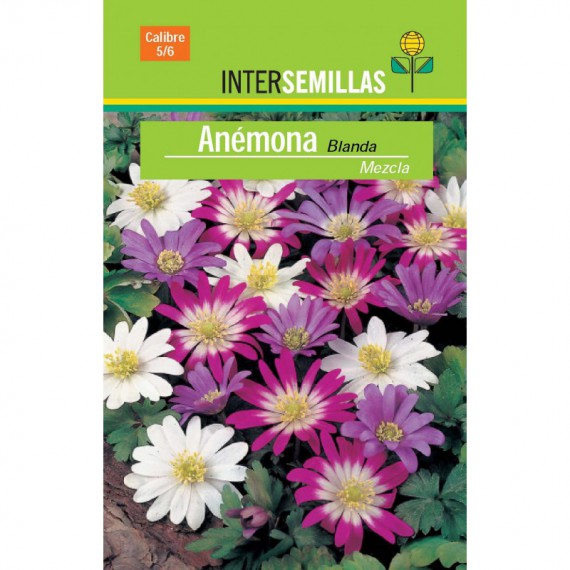 Bulbo Anémona Blanda Mezcla