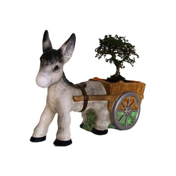Burro con carro y Bonsái