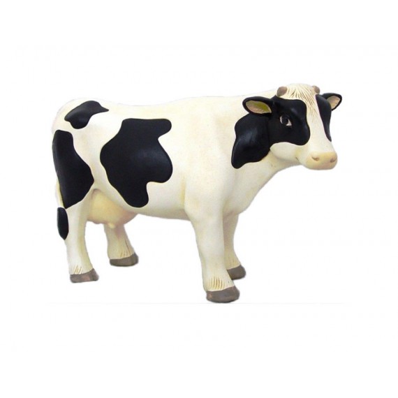 Vaca lechera Mediana