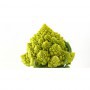 Coliflor Romanescu