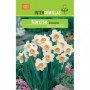 Bulbo Narciso Trompeta Blanco-Naranja