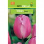 Bulbo Tulipán Darwin Rosa Fuerte