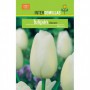 Bulbo Tulipán Darwin Blanco