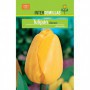 Bulbo Tulipán Darwin Amarillo