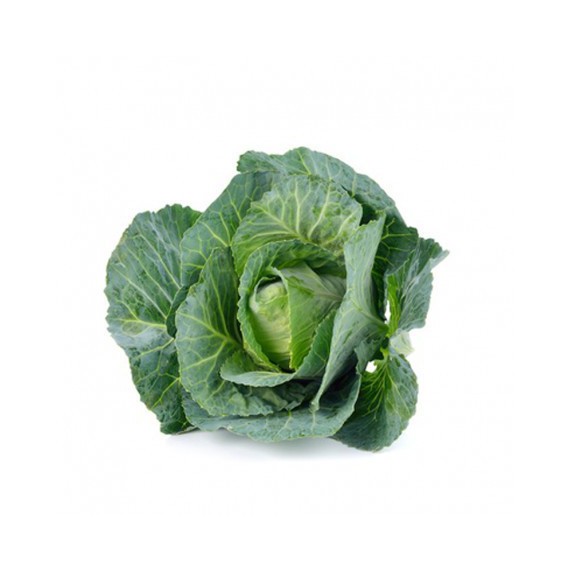 Semillas de Col Repollo Corazón de Buey