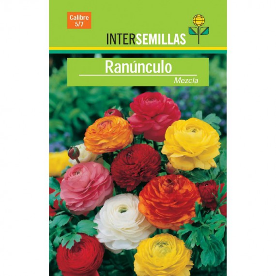 Bulbo Ranúnculo Mezcla