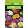 Bulbo Freesia Doble Mezcla