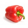 Pimiento Rojo Asar