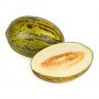 Melón Injertado Piel de Sapo