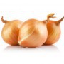 Cebolla valenciana