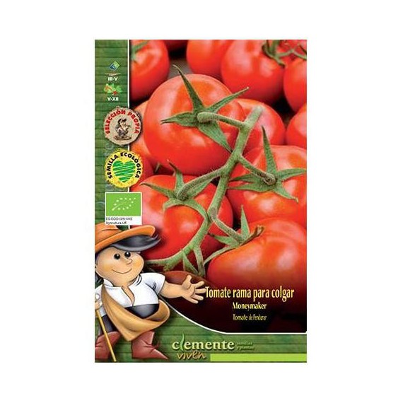 Semillas ECO de Tomate Rama Moneymaker