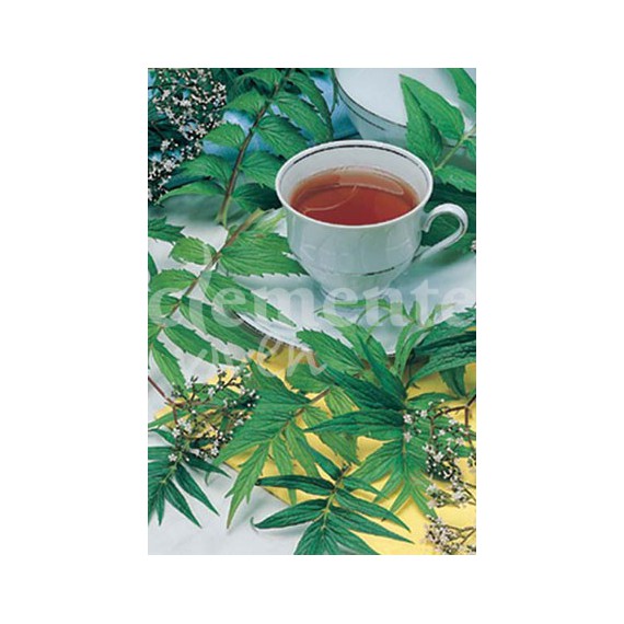 Semillas de Valeriana