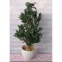 Maceta arbusto Laurel (Artificial)
