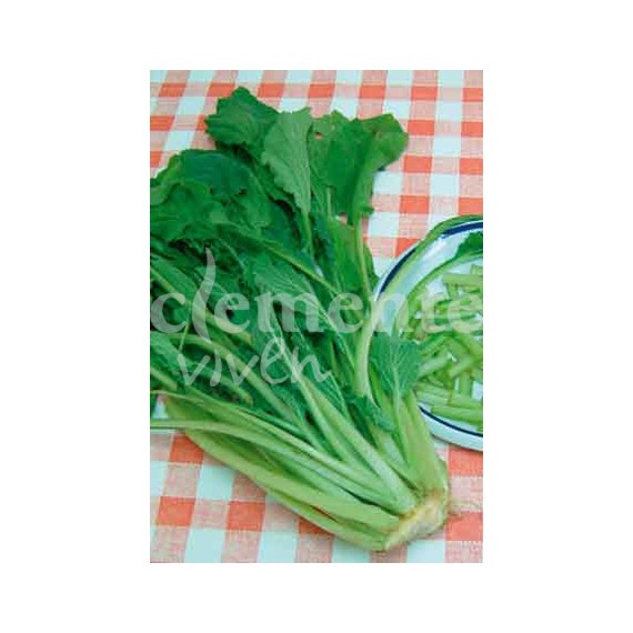 Semillas de Borraja de Movera