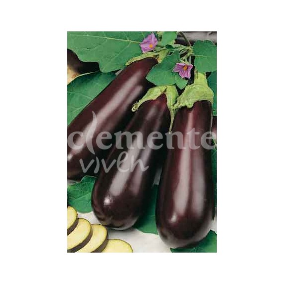 Semillas de Berenjena Larga Morada