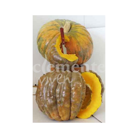 Semillas de Calabaza Buen Gusto