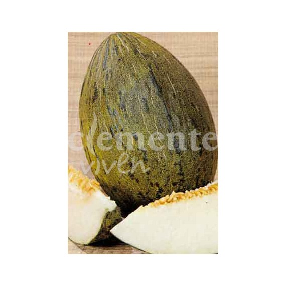 Semillas de Melón PIÑONET PIEL SAPO
