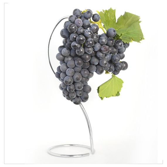 Parra de Uva negra Garnacha en maceta