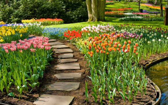 Plantas en el Flower Show de Moscú