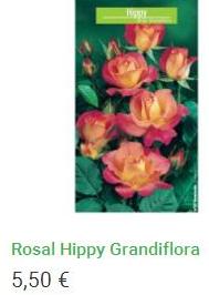 Rosal Hippy