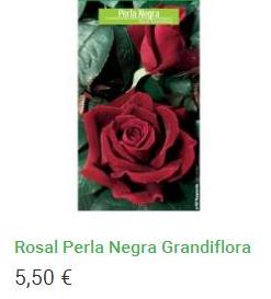 Rosal Perla Negra