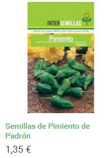 Semillas de Pimiento de Padrón